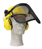 C1001 Шлем защитный комбинированный CHAMPION