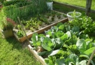 Подготовка почвы к посадке в саду и в огороде