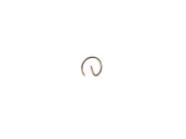 З/Ч MEGA Стопорное кольцо поршневого пальца бензокосы (BC260)