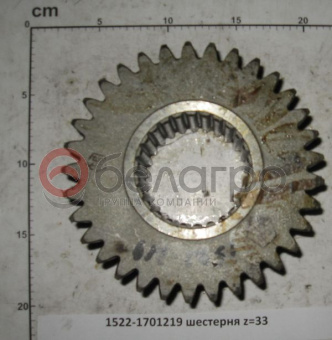 1522-1701219 Шестерня МТЗ КПП промежуточного вала, z=33 - №1