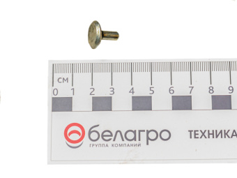 142-1601316 Сухарь МТЗ, БЗТДиА - №2