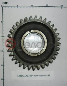 1221С-1701054 Шестерня МТЗ вала первичного z=33 - №1