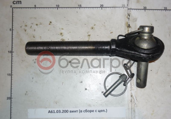 А61.03.200 Винт (в сборе с цеп.) РК - №1
