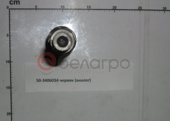 50-3406034 Червяк МТЗ, (А) - №1