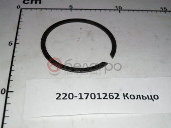 220-1701262 Кольцо Д 59 МТЗ, БЗТДиА - №1