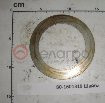 80-1601319 Шайба МТЗ маслоотражательная - №1