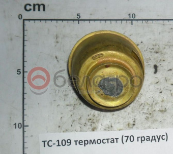 ТС-109 Термостат МТЗ 70 градусов, (А) - №2