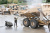 Аппарат высокого давления с подогревом воды KARCHER HDS 10/20-4 M купить в Минске, честные цены. - №1