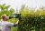 Кусторез электрический BOSCH AdvancedHedgeCut 70 купить в Минске, честные цены. - №1