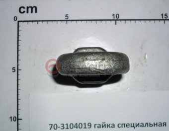 70-3104019 Гайка МТЗ ступицы задних колес специальная, САЗ* - №2