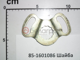 85-1601086 Шайба МТЗ стопорная, БЗТДиА - №1